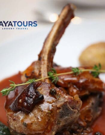 Gaya Tours Passover Program 2024 in the Park Hyatt Dubai