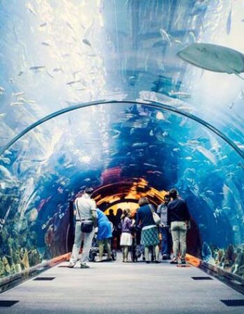 Gaya Tours Passover Program 2024 in the Park Hyatt Dubai