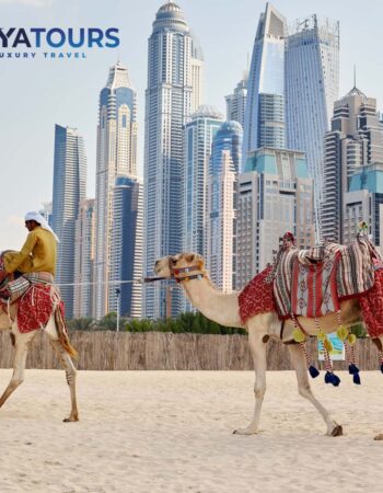 Gaya Tours Passover Program 2024 in the Park Hyatt Dubai