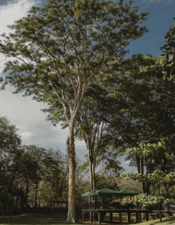 Costa Rica Kosher Adventures 2023 Passover Program in Costa Rica