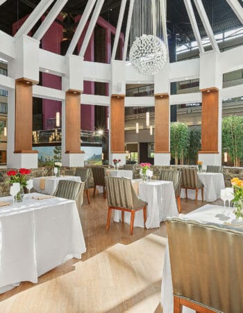 The Pesach Experience featuring Chap A Nosh Passover Program 2024 in Stamford, Connecticut