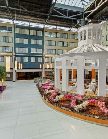 The Pesach Experience featuring Chap A Nosh Passover Program 2024 in Stamford, Connecticut