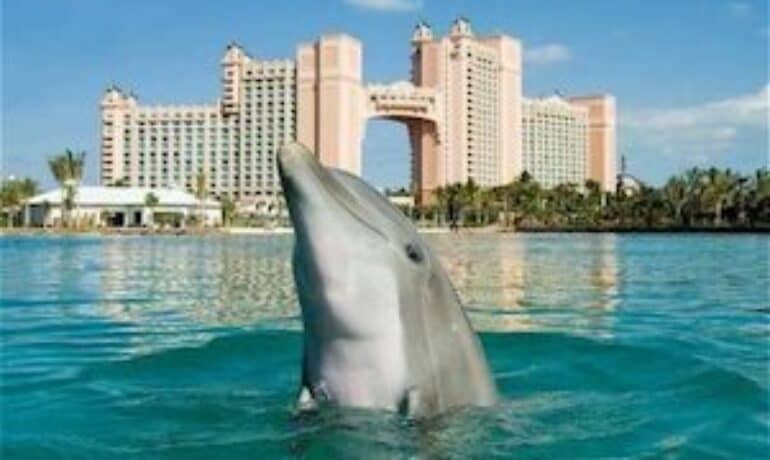 Kosherica Passover Program 2025 at the Atlantis Resort in the Bahamas