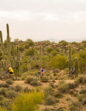 World Wide Kosher Passover Program 2024 in Scottsdale, Arizona