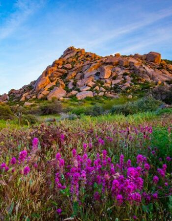 World Wide Kosher Passover Program 2024 in Scottsdale, Arizona