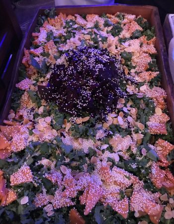 Rina’s Best aka CU Caterer Passover Program 2024 Miami in Sunny Isles Beach, Florida