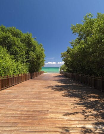 VIP Kosher Tours 2023 Passover Program in Playa Del Carmen, Mexico